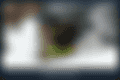 blob