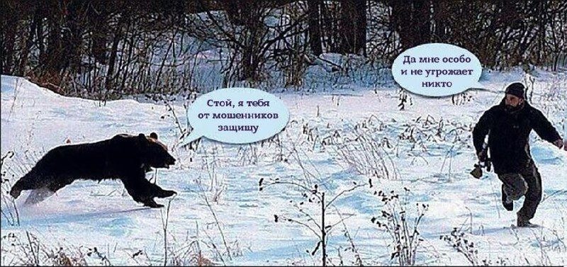 027294b8d57cf45581a4d1b0chd.jpeg