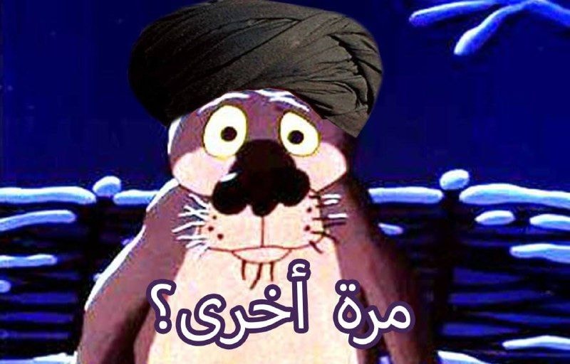 04a7b445d190ab5ffc744060ehd.jpeg