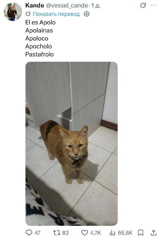 05bf25232a67a45453c11060bhd.jpeg