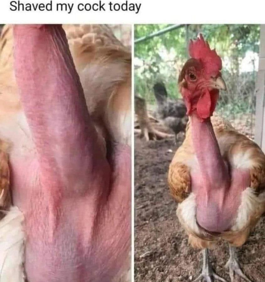 image.jpeg