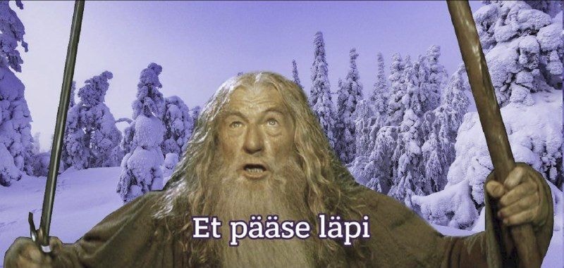 13c6e2a4da2cd3f8ec73aee01hd.jpeg