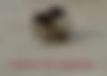 1000043128.jpg