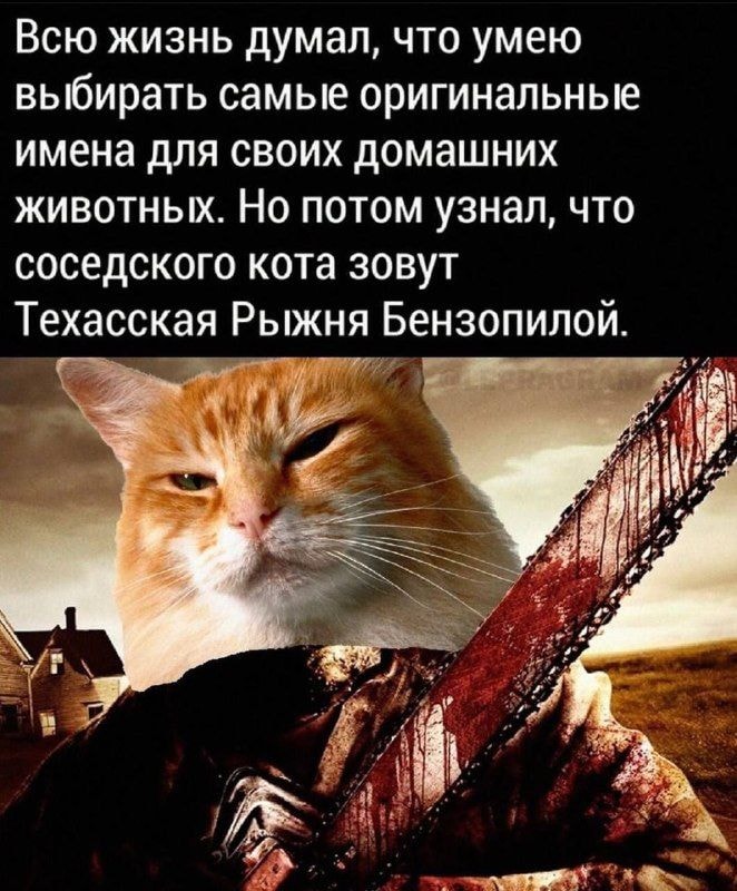 20537a03d03f5bd0109063604hd.jpeg