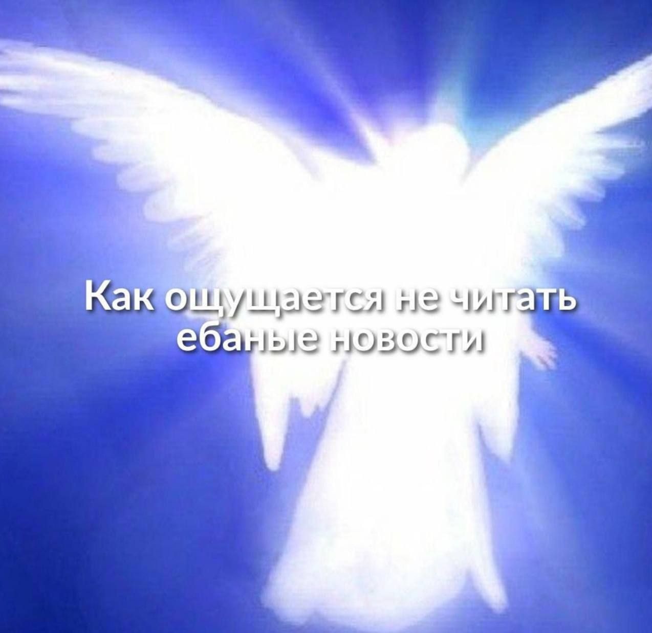 1000046498.jpg