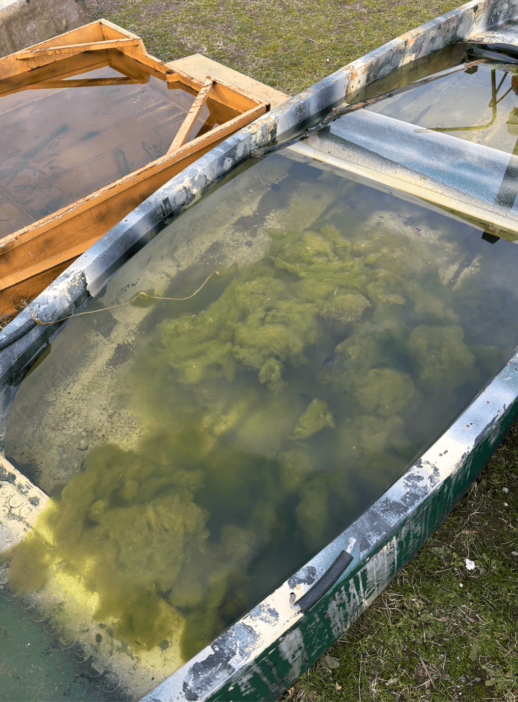 Снимок экрана — 2026-04-13 в 15.34.09.png