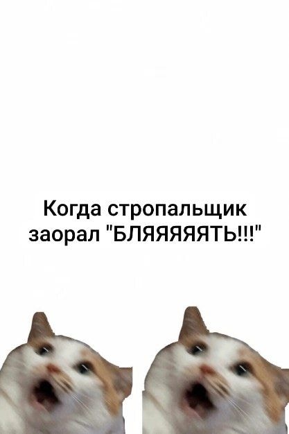 1000043798.jpg