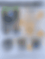 Вандализированный апельсинами парковый плакат.png