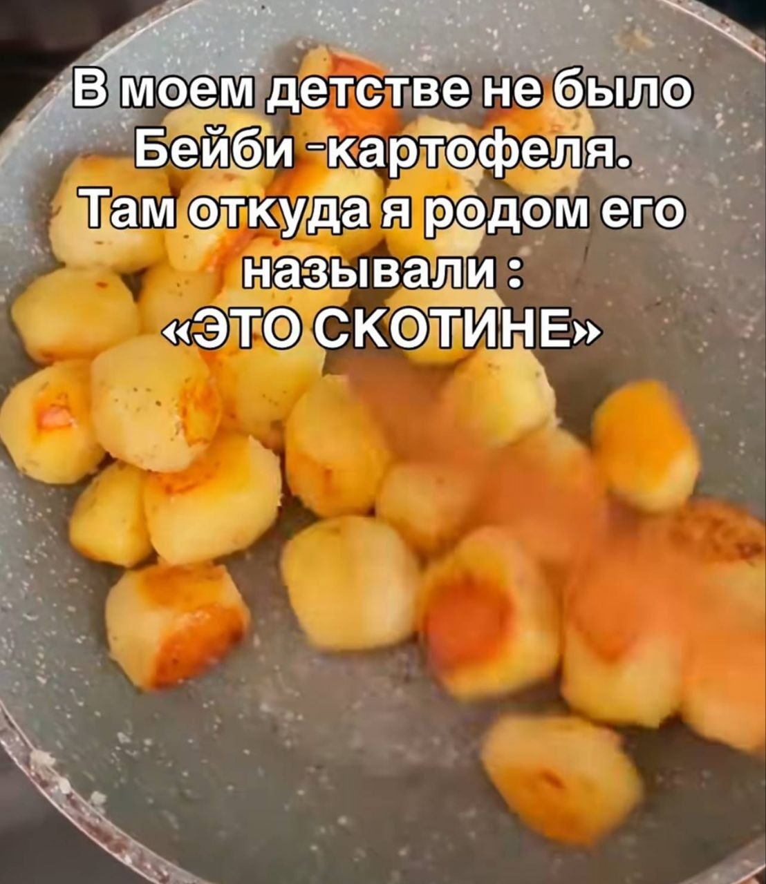 1000042055.jpg