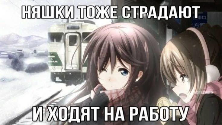 1000045551.jpg