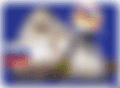 Screenshot 2026-06-27 at 17.43.23.png