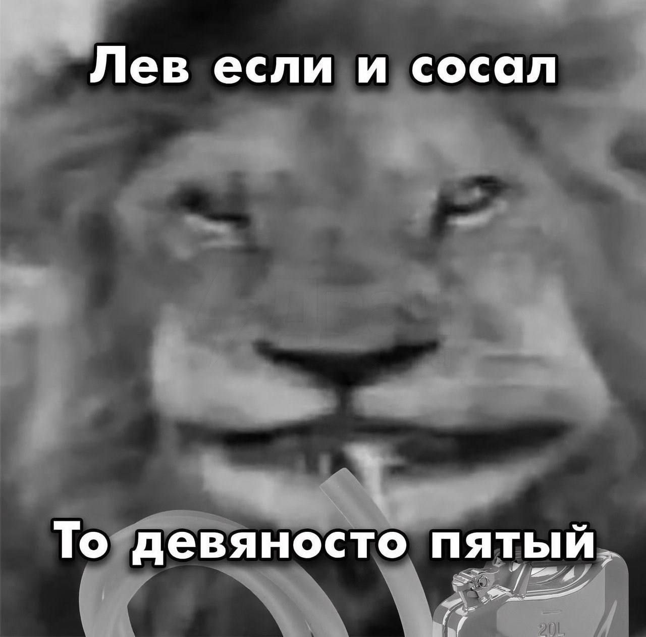 1000042919.jpg