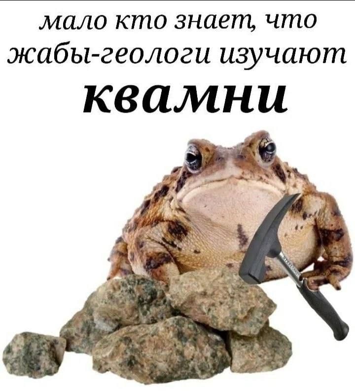 1000042928.jpg