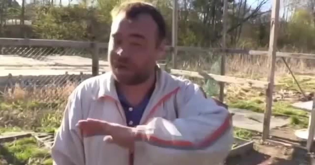 og_og_164557926026792723.jpg