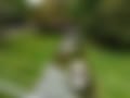 1000007337.jpg