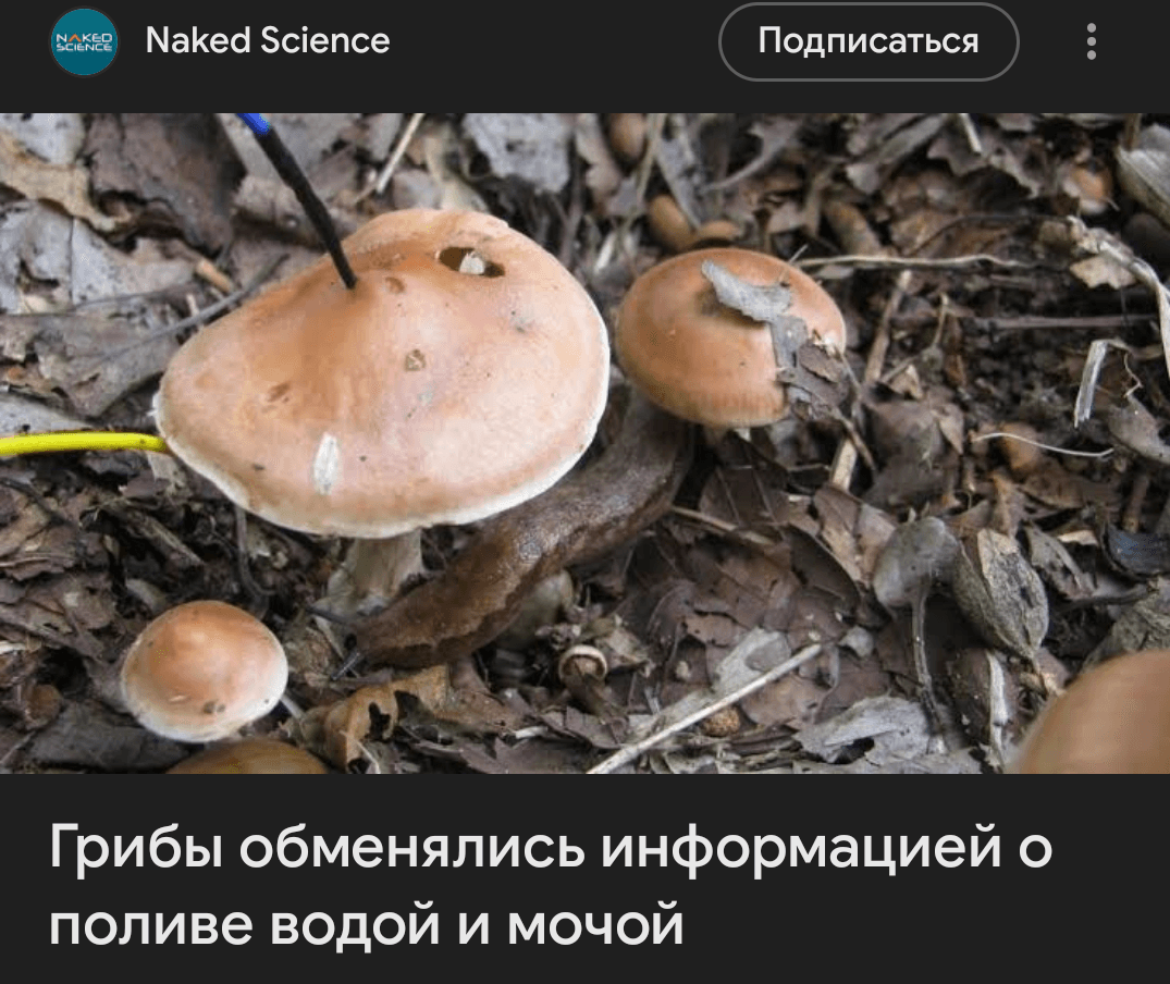 1000067817.png