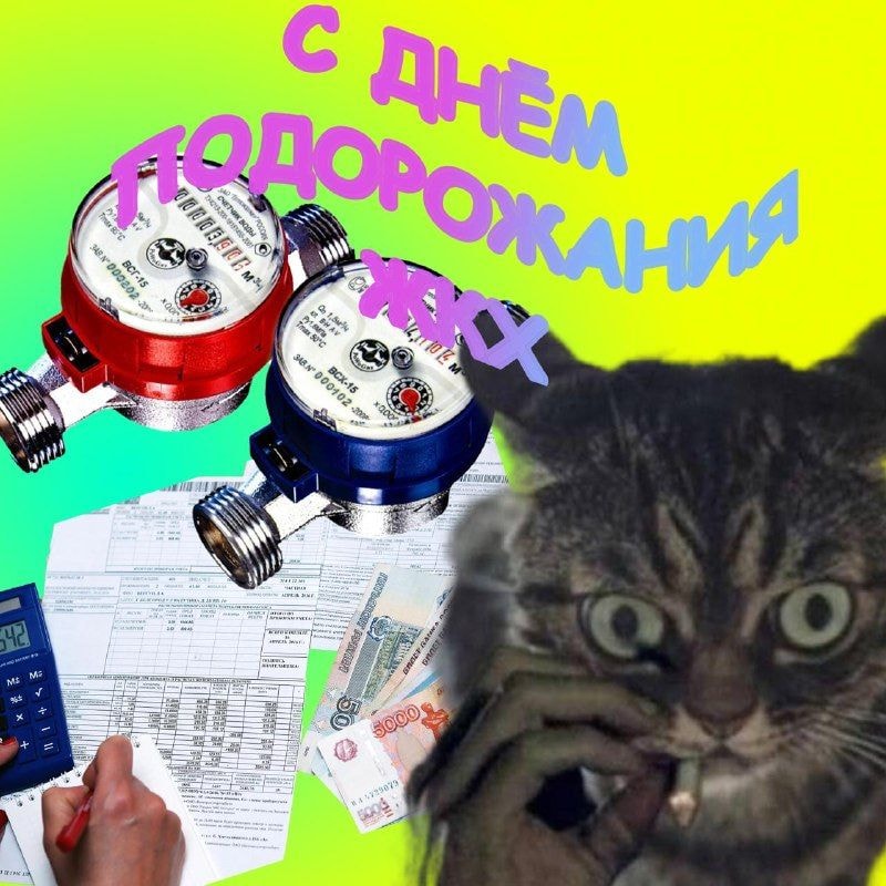3aaa27fb883fb9399fbed6e1ahd.jpeg