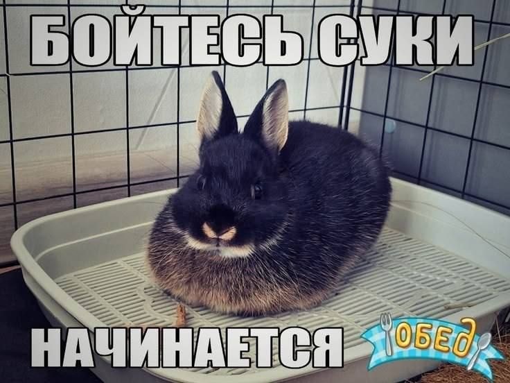 1000043705.jpg