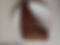1000004632.jpg
