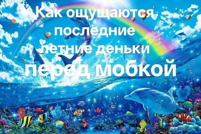 1000044057.jpg