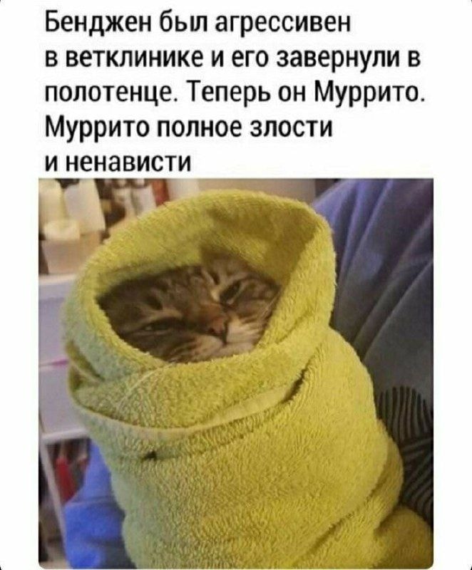 4827e9149a3ae394540e8b804hd.jpeg