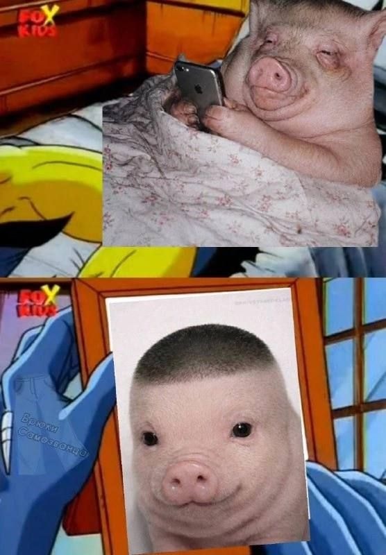 1000043674.jpg