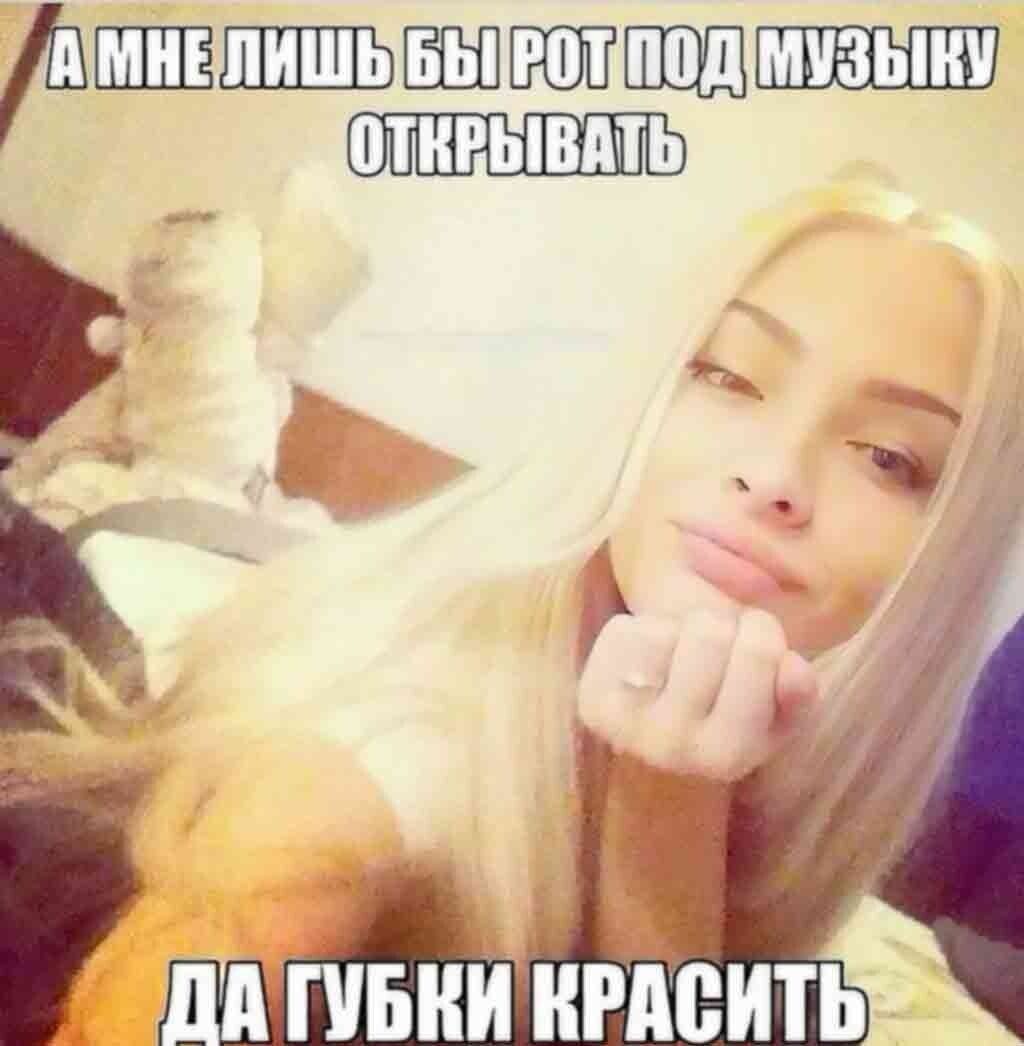 239.jpg