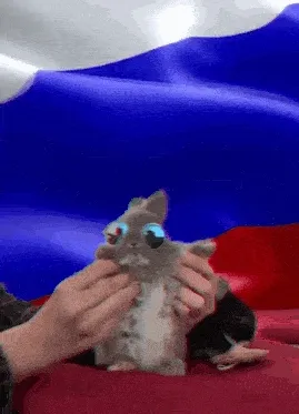 кролик-танцует-флаг-россии.gif