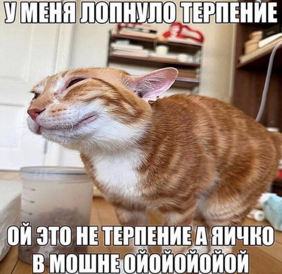 1000043047.jpg