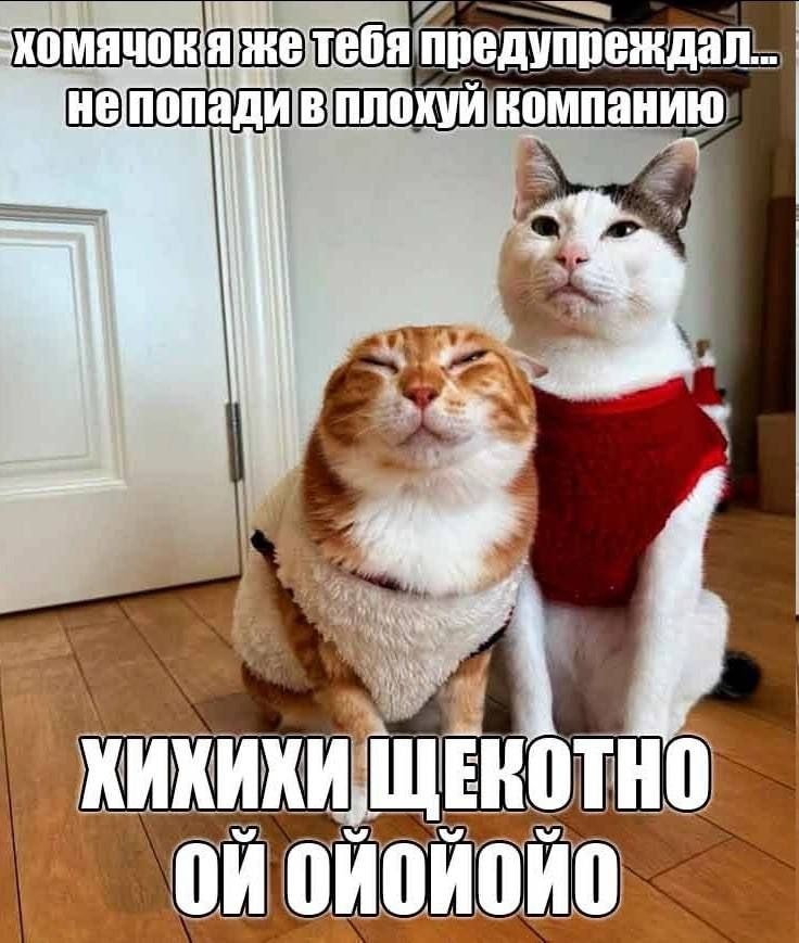 1000043038.jpg