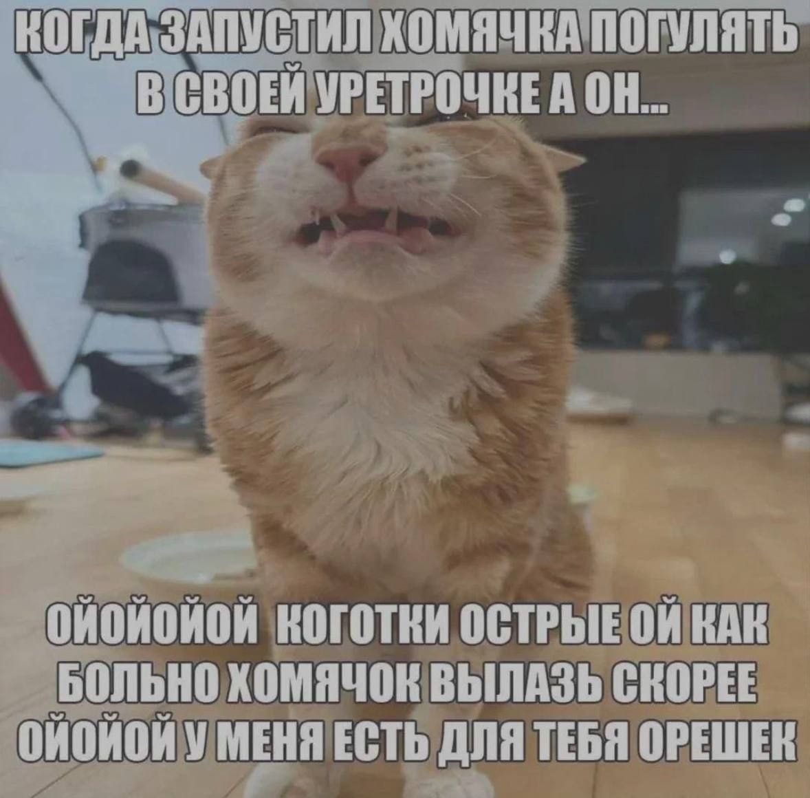 1000043032.jpg