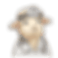 1000007557.png