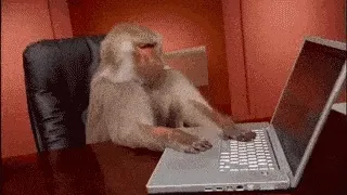 ProgrammerCodingGIF.gif