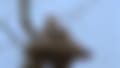 1601.jpg