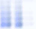 Screenshot 2026-07-15 154016.png