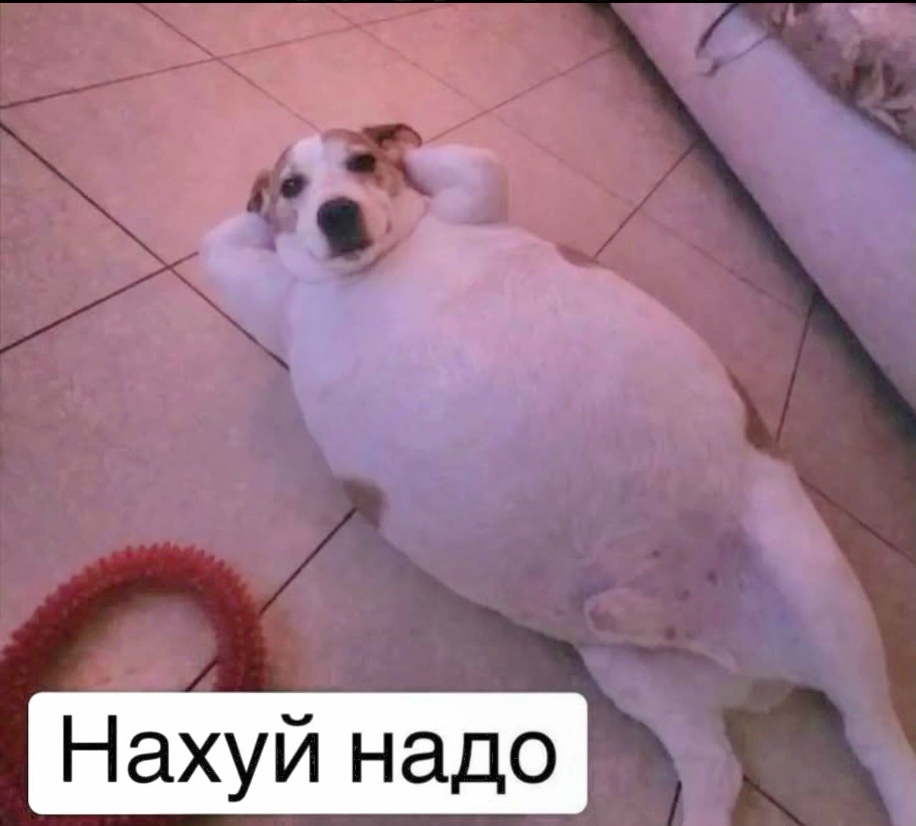 277.jpg