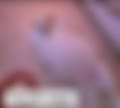 277.jpg