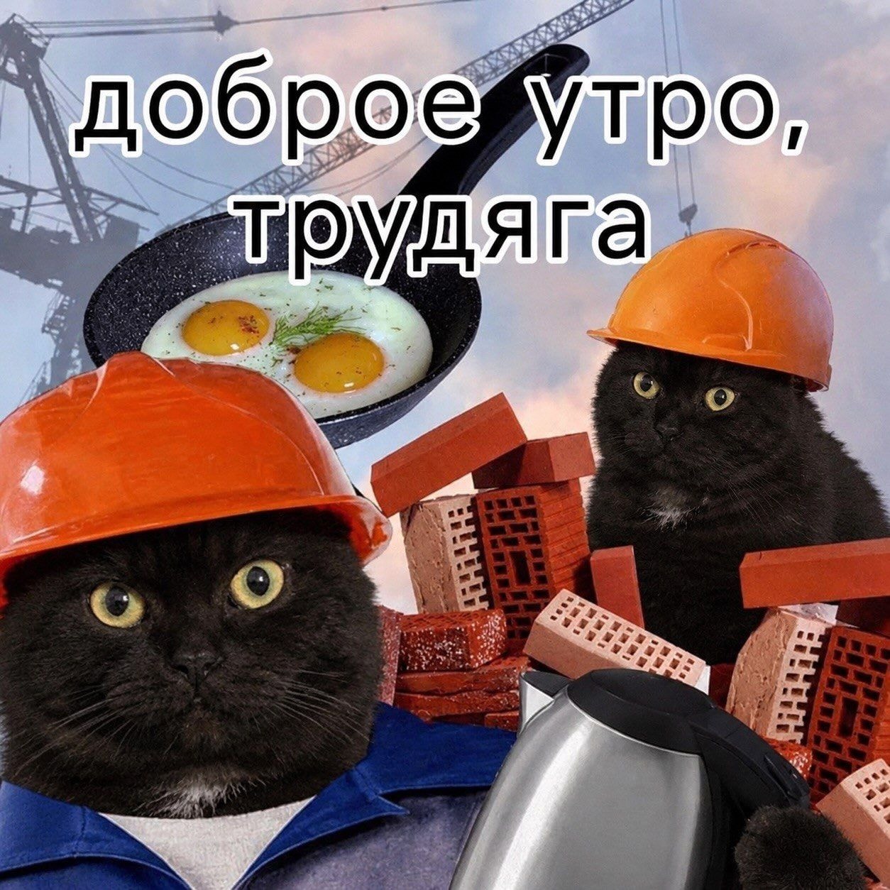 5522.jpg