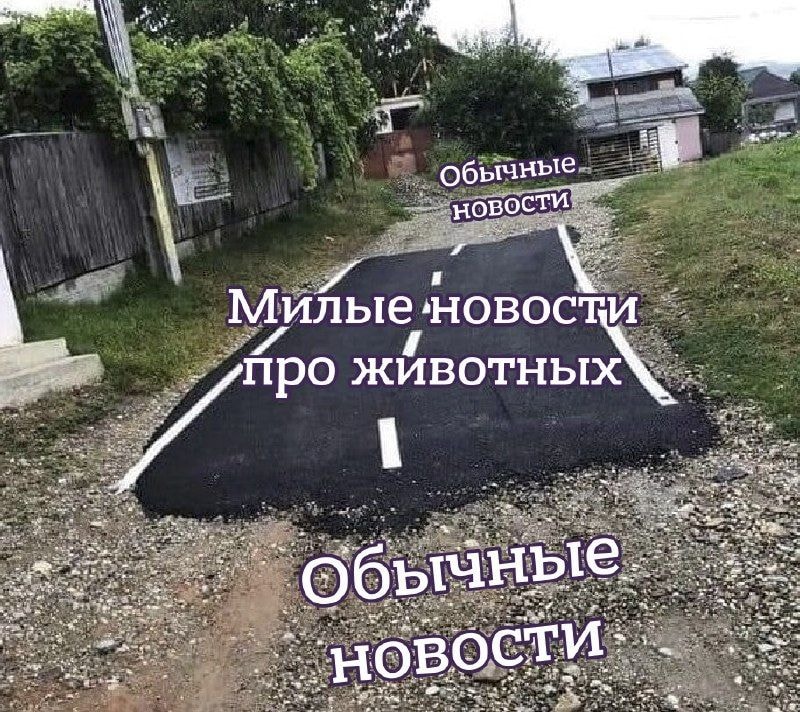 791a701ffdf725484c394490chd.jpeg