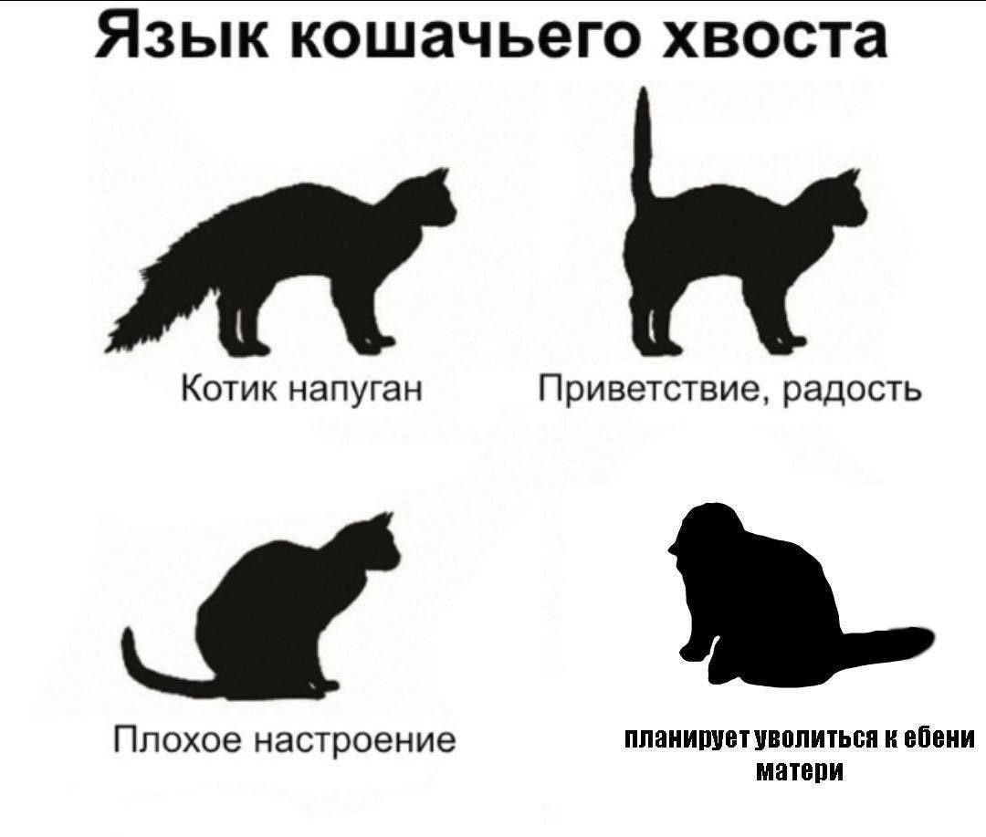 1000042105.jpg