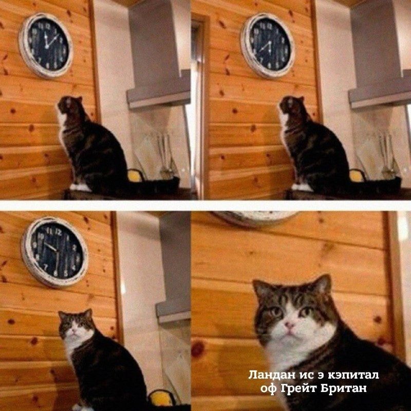 7a626550e75ae33656c7ee406hd.jpeg