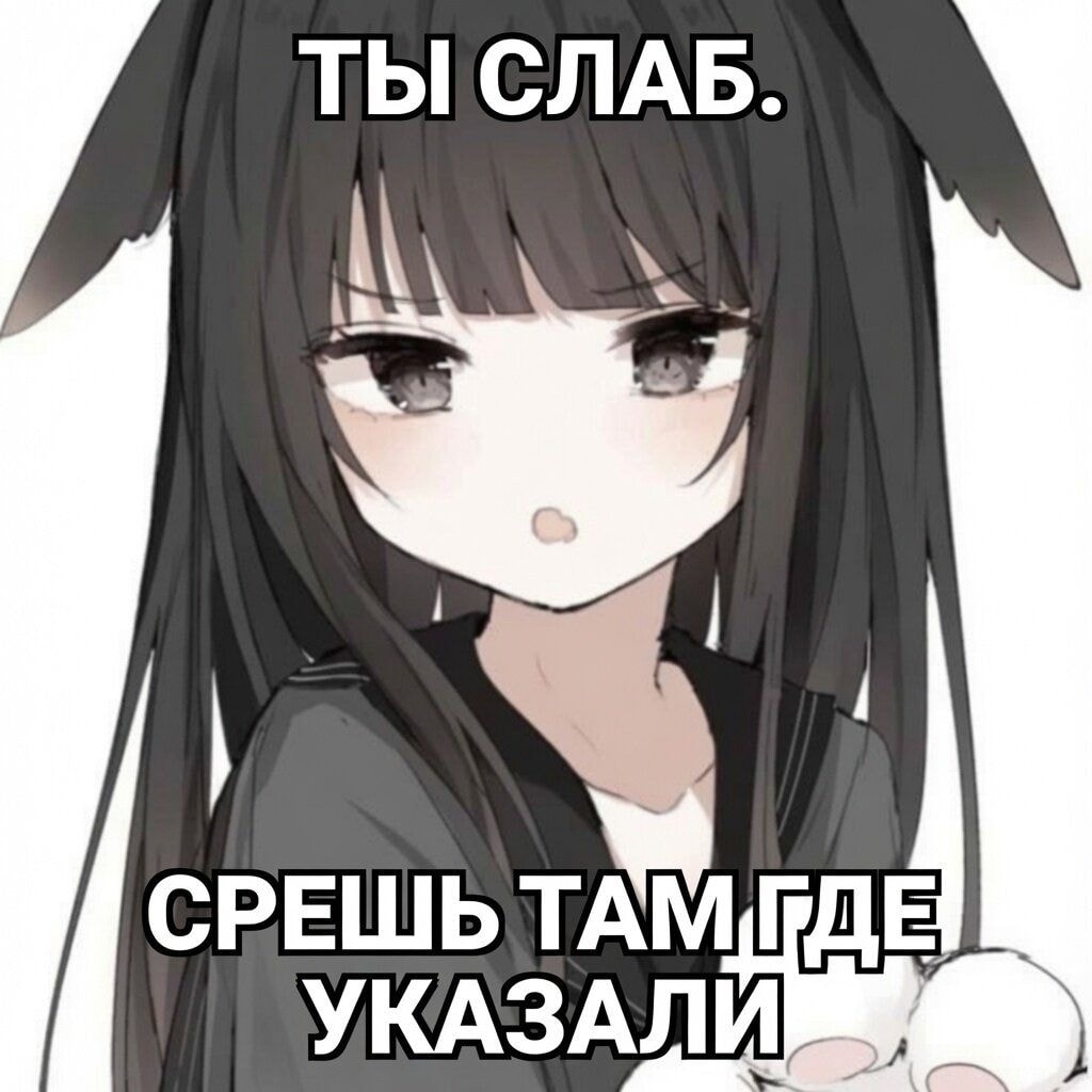 249.jpg