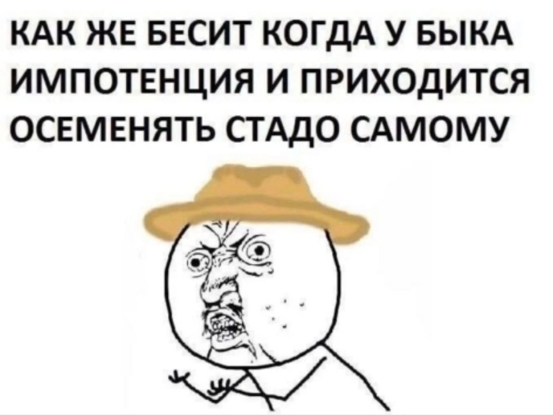 1000046529.jpg