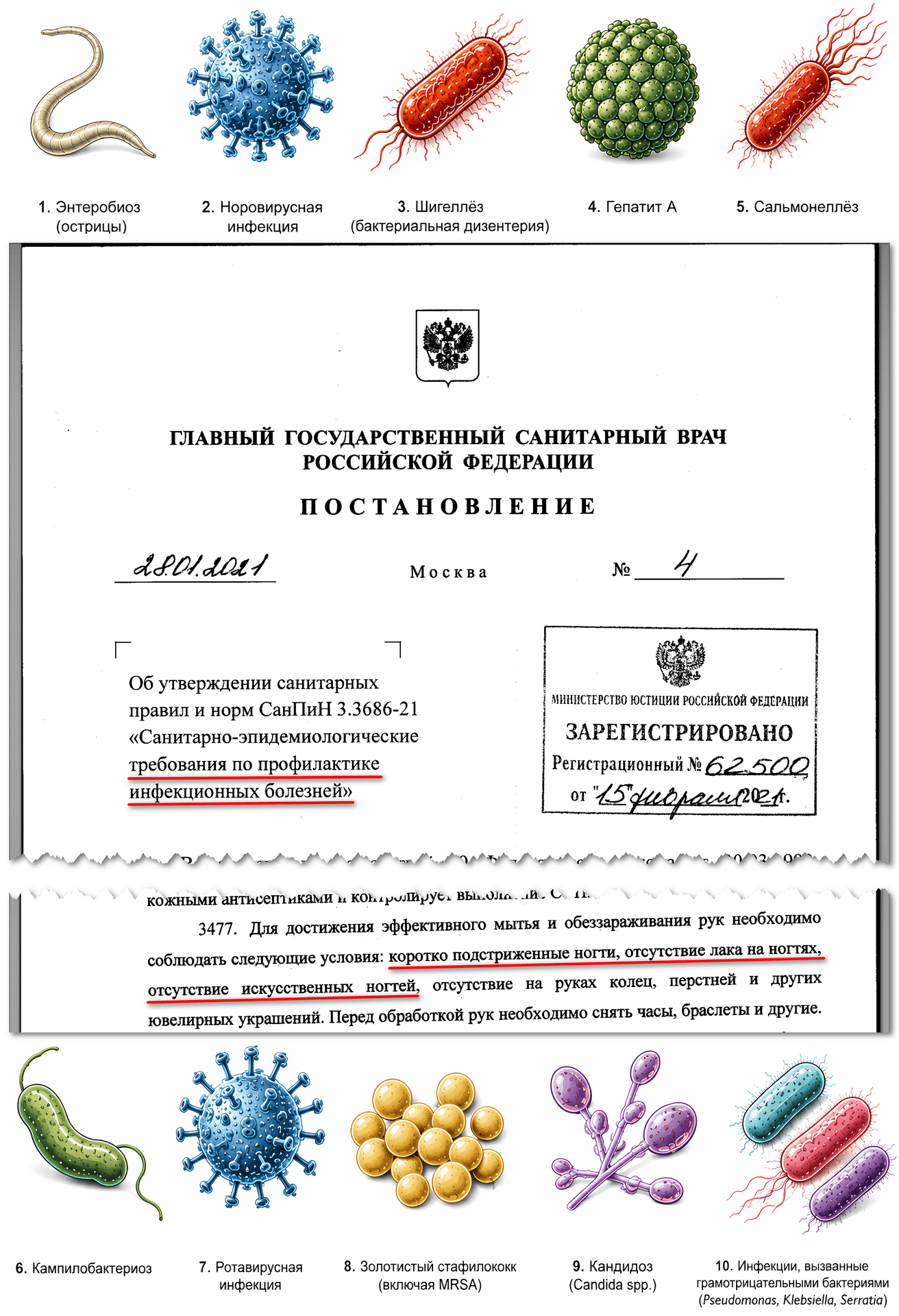Санпин_fin.png