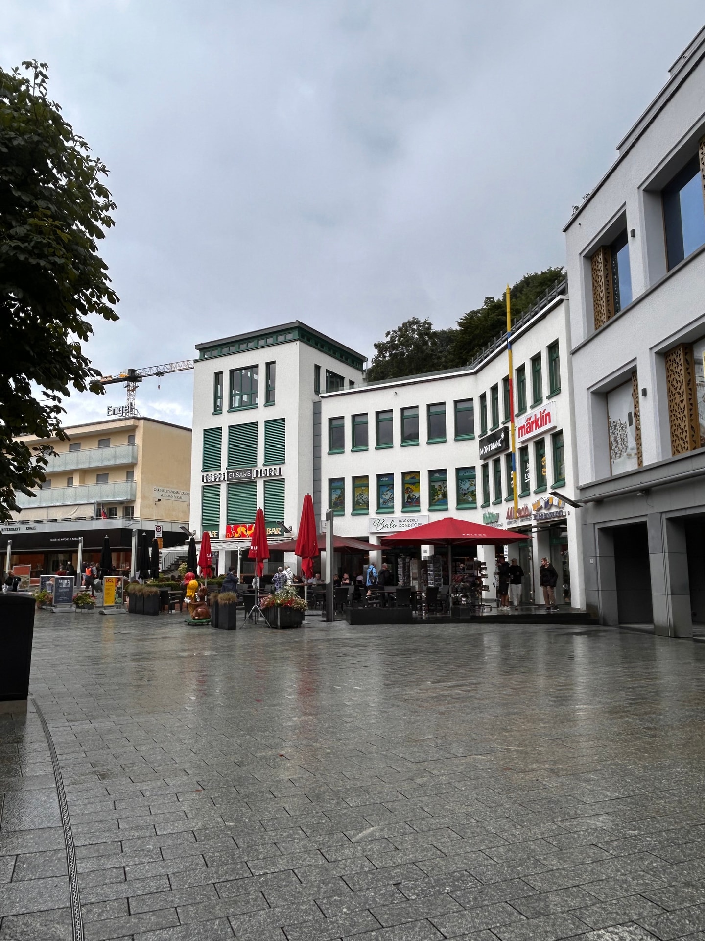 IMG_0902.jpeg
