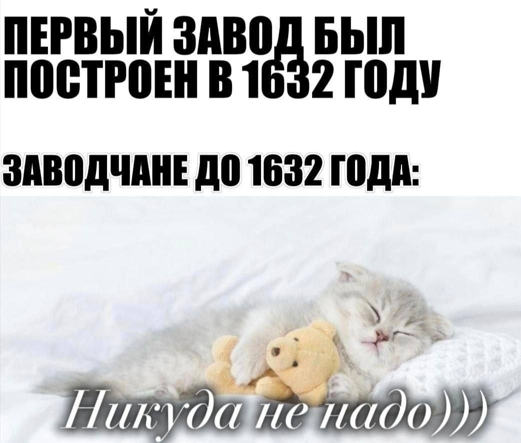1000042840.jpg