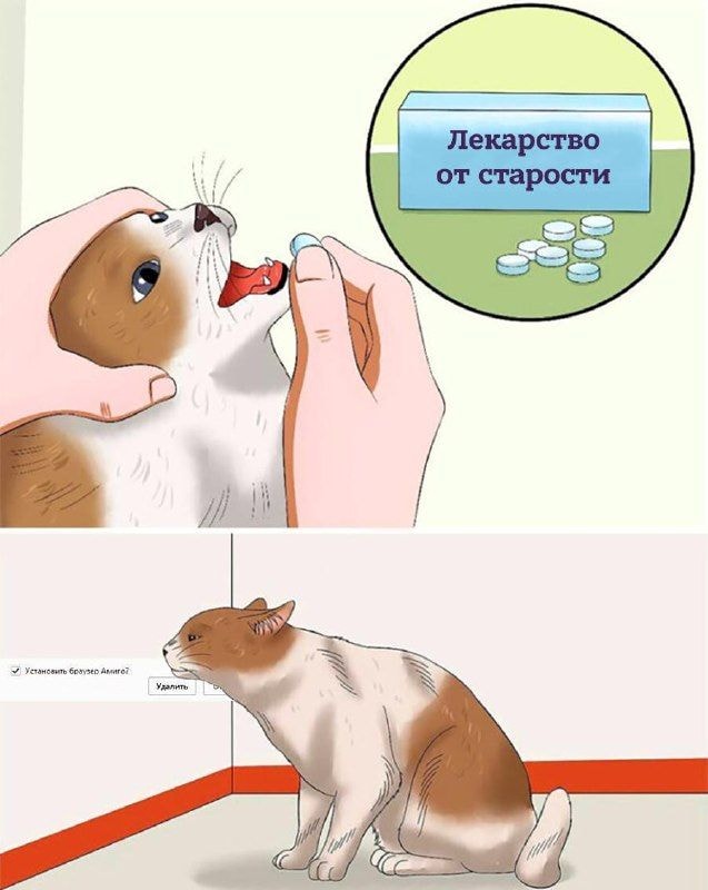 84dc7ec8ec222300af0c97a15hd.jpeg