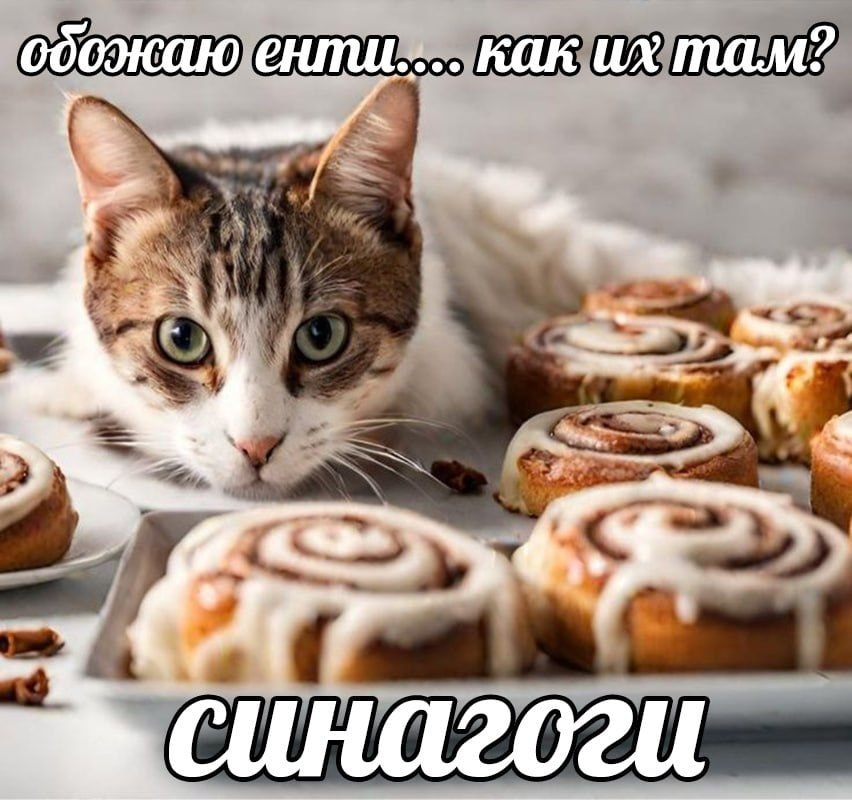 IMG_0935.jpeg