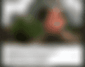 1000049528.png