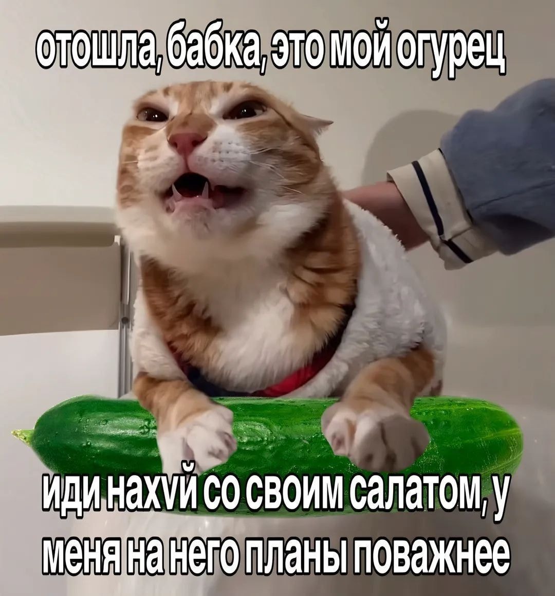 1000043604.jpg